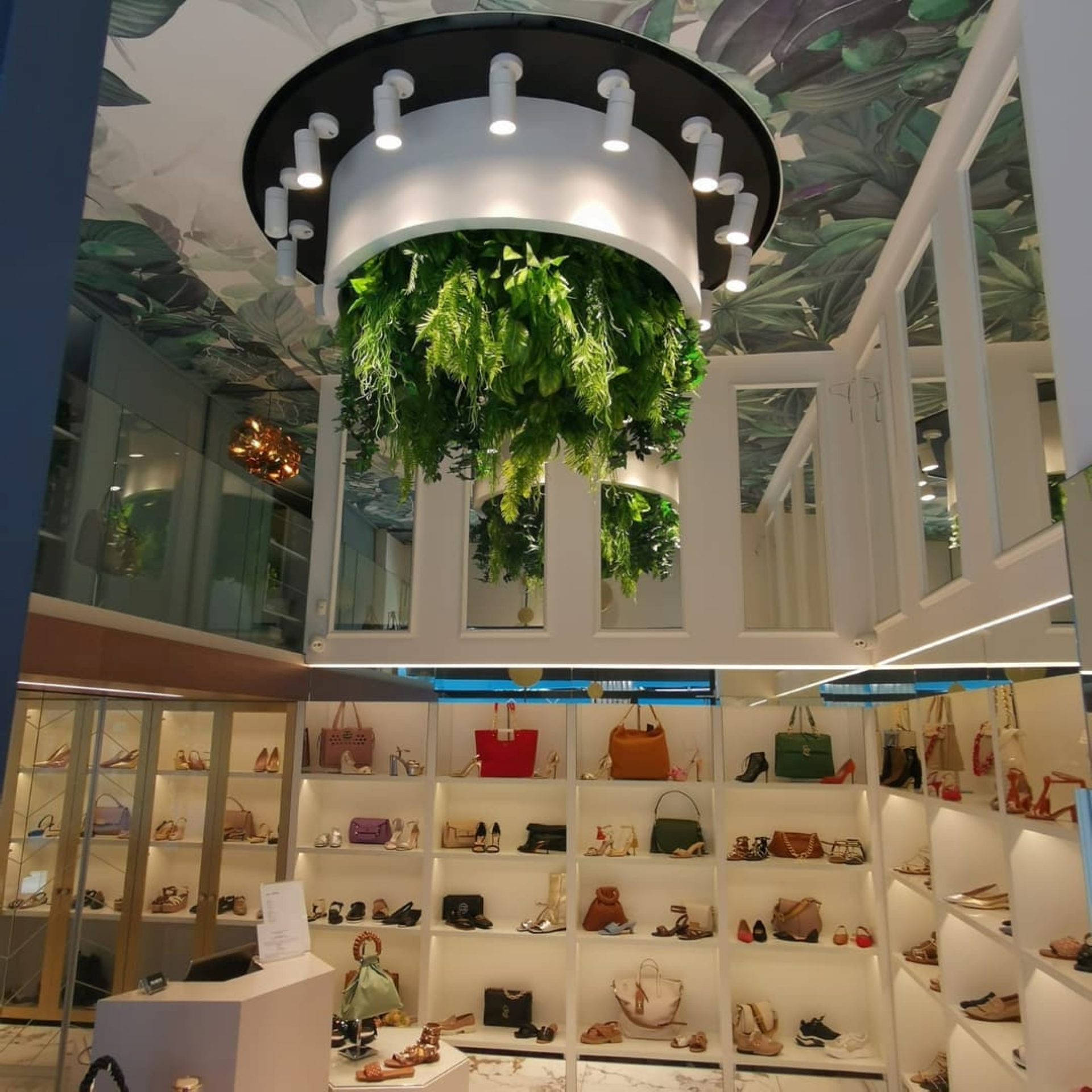 PARAMOUNT STORE Lightwave